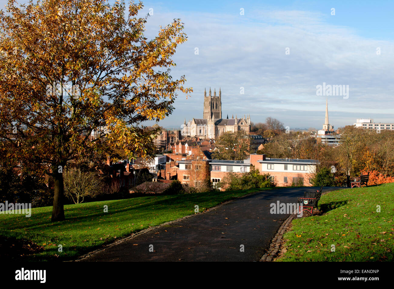 Worcester Cathedral from Fort Royal Park in autumn, Worcestershire, UK Stock Photo