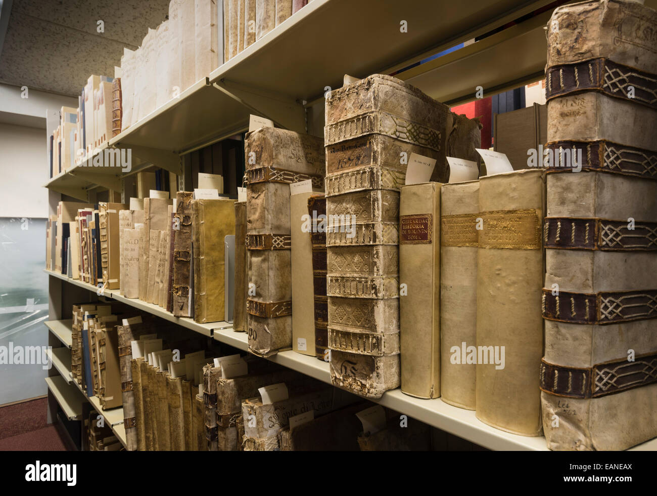 Dusty shelf detail historical antiquity worn tattered history library