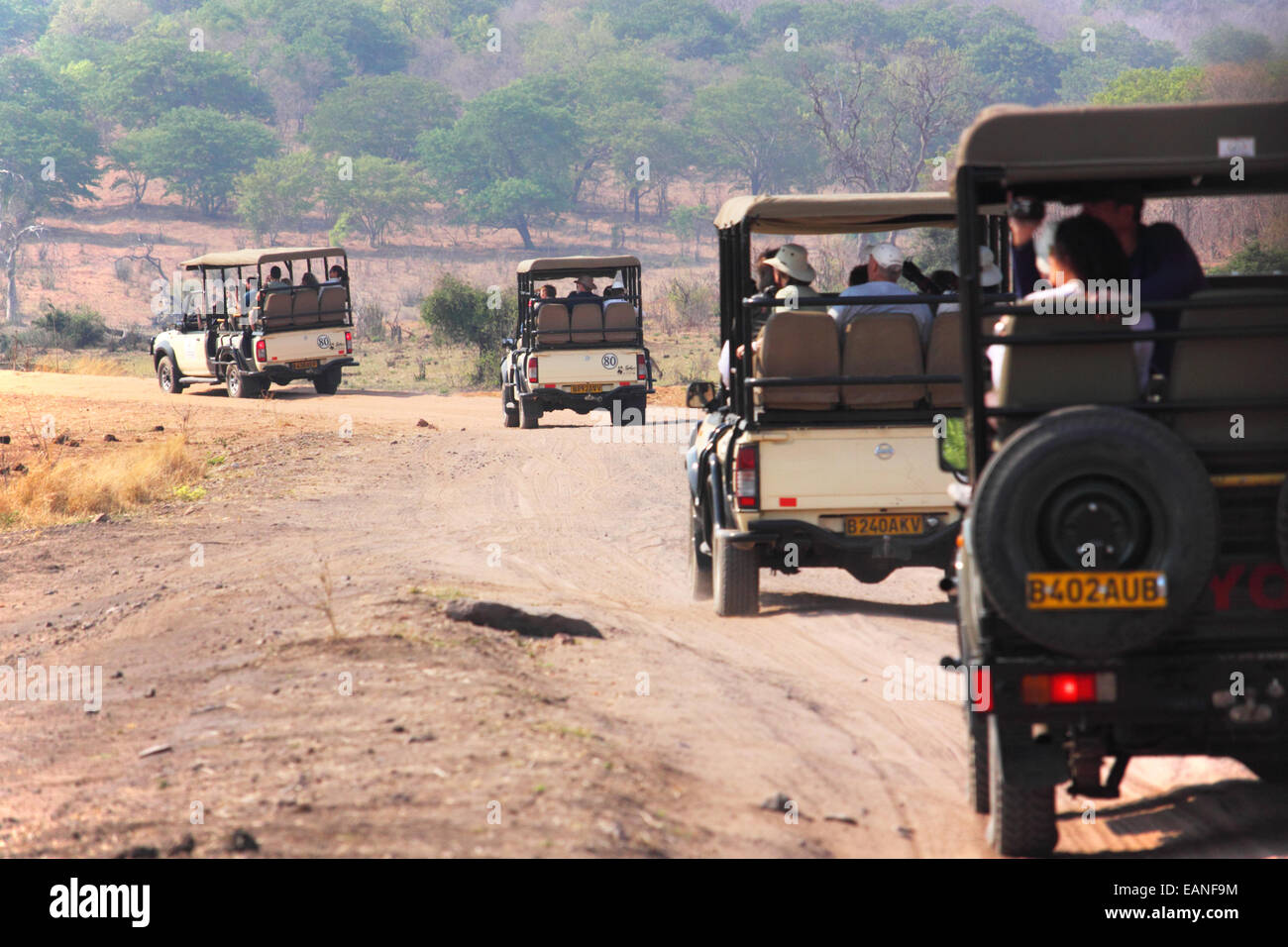 A line of four wheel drive safari vehicles on a game drive in Africa. Stock Photo
