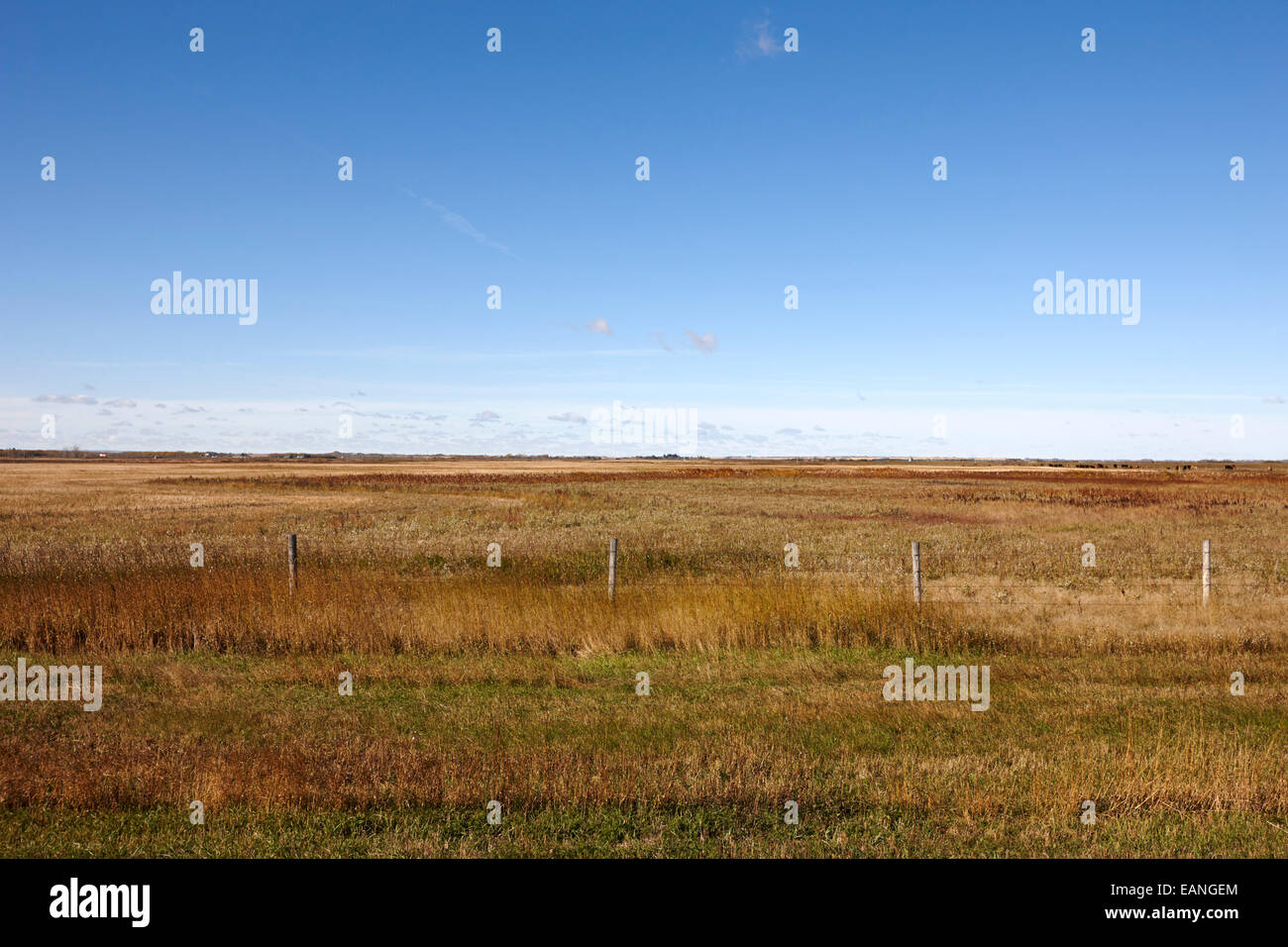 prairie fields and farmland Saskatchewan Canada Stock Photo