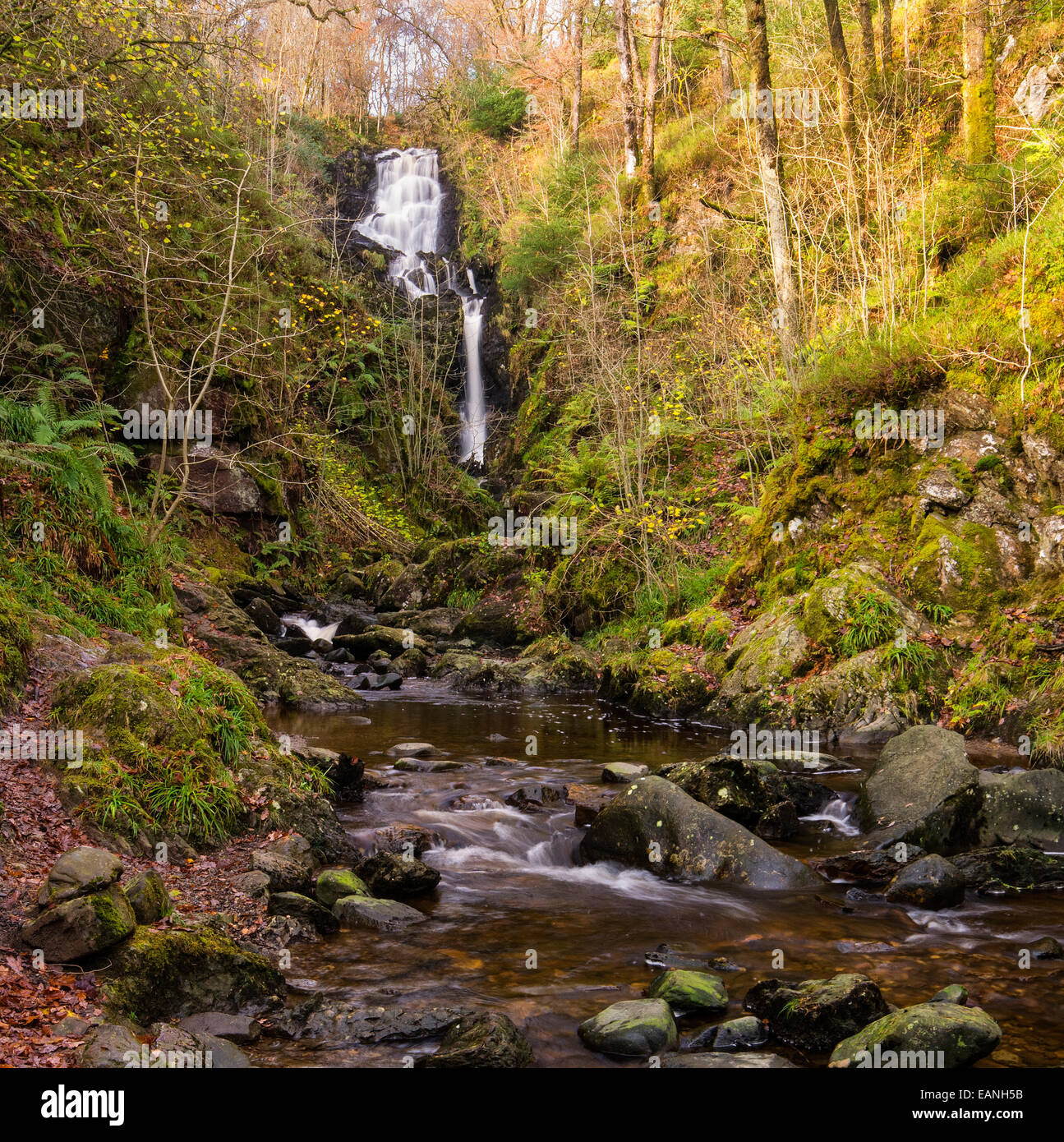 Waterfall on woodland river hi-res stock photography and images - Alamy