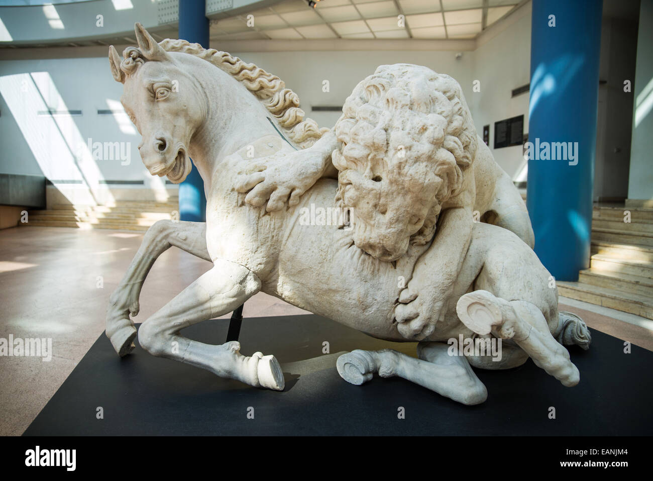 Leone che azzanna il cavallo, Palazzo dei Conservatori, Capitoline Museums, Rome, Italy Stock Photo
