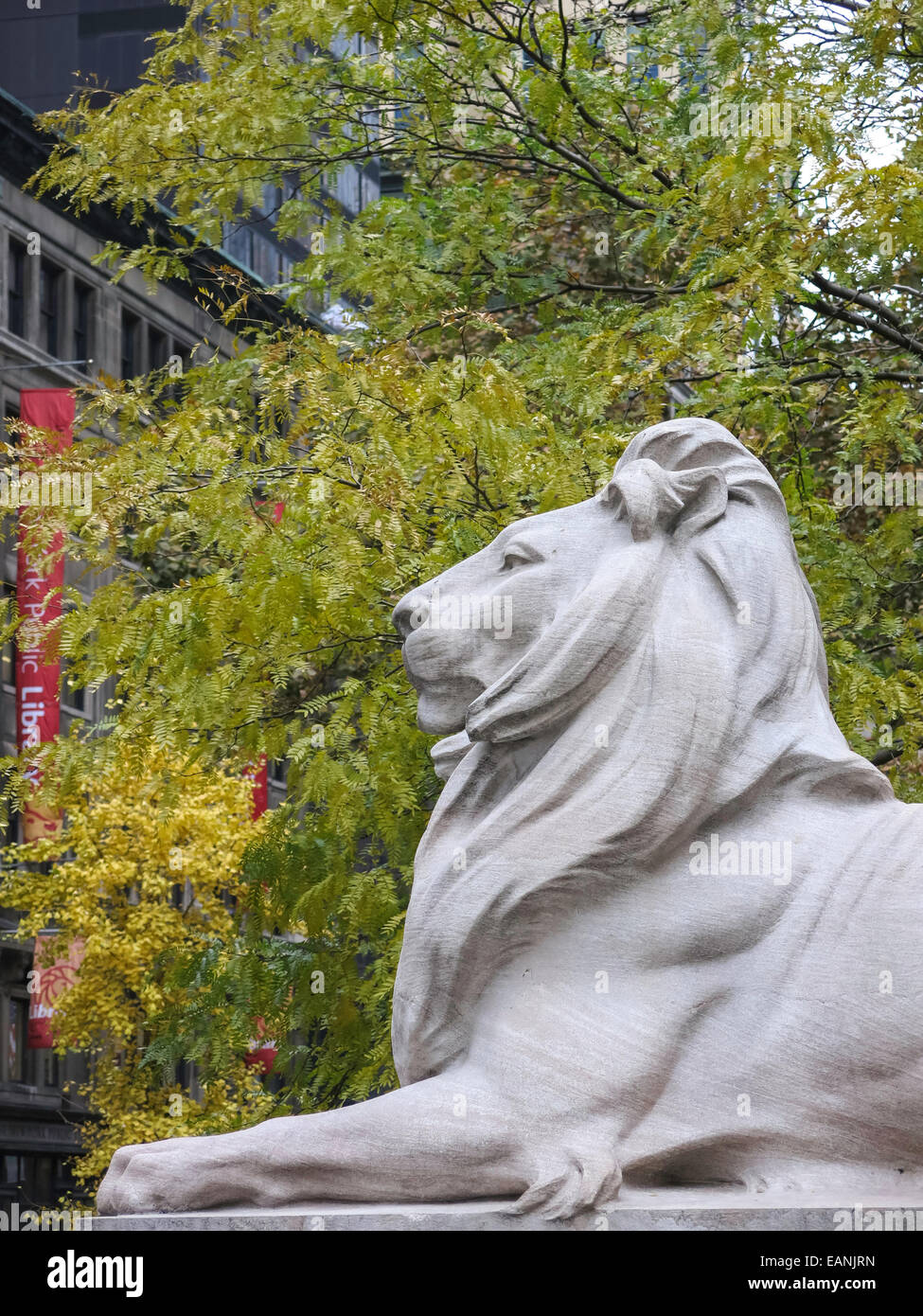 Lion Statue, New York Public Library, Main Branch, NYC Stock Photo Alamy