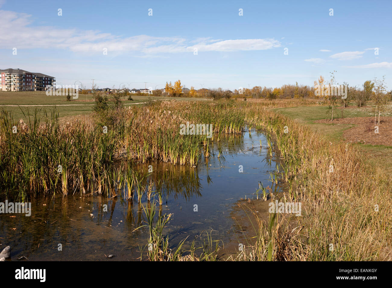 managed lakeland habitat area landscaped protected suburb saskatoon Saskatchewan Canada Stock Photo
