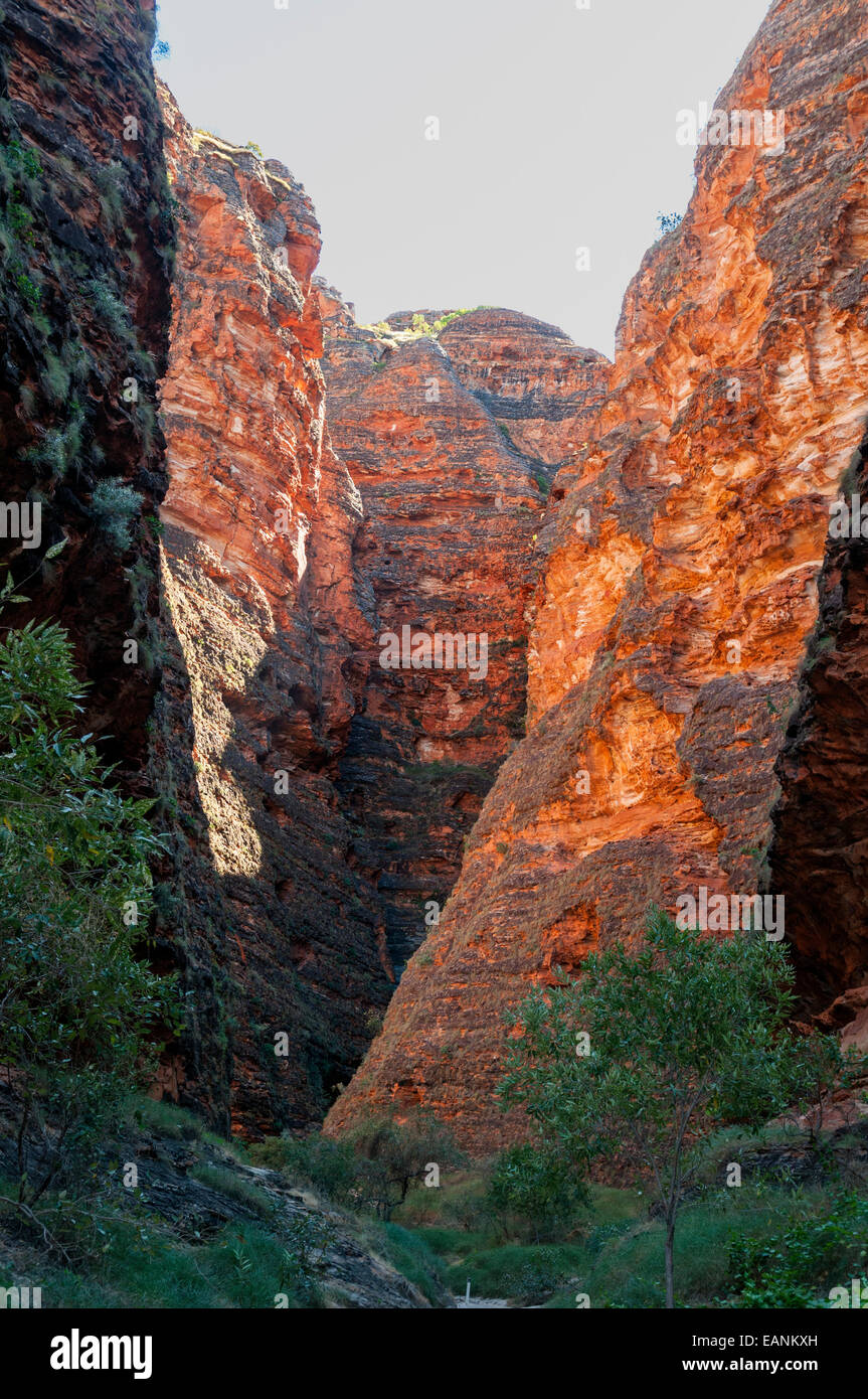 Cathedral Gorge, Purnululu, the Kimberley, WA, Australia Stock Photo