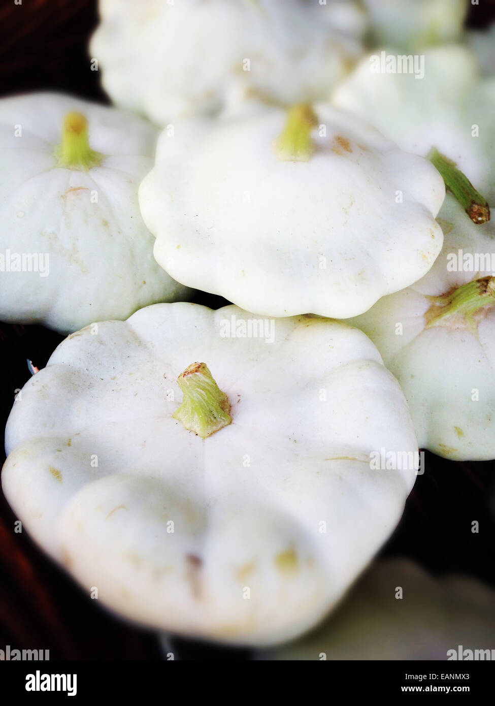 White scallop squash stacked in a group Stock Photo