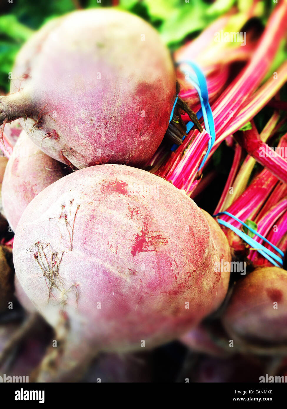 red beets in a bunch at farmers market stand Stock Photo