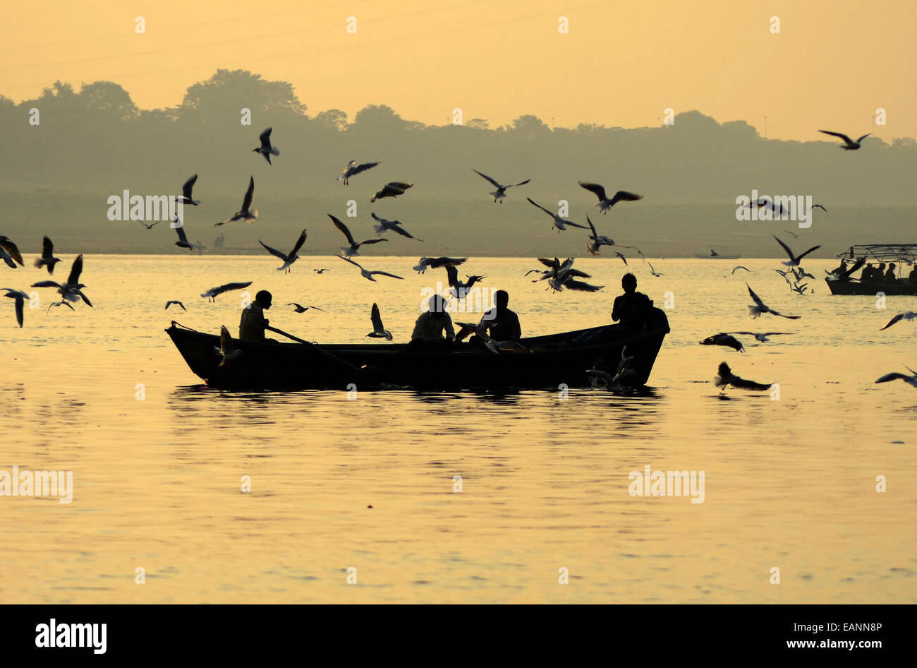 Devotees feed Sibearian seagulls during sunset at the Sangam, the confluence of the rivers Ganges, Yamuna and the mythical Saraswathi, in Allahabad. © Prabhat Kumar Verma/Pacific Press/Alamy Live News Stock Photo