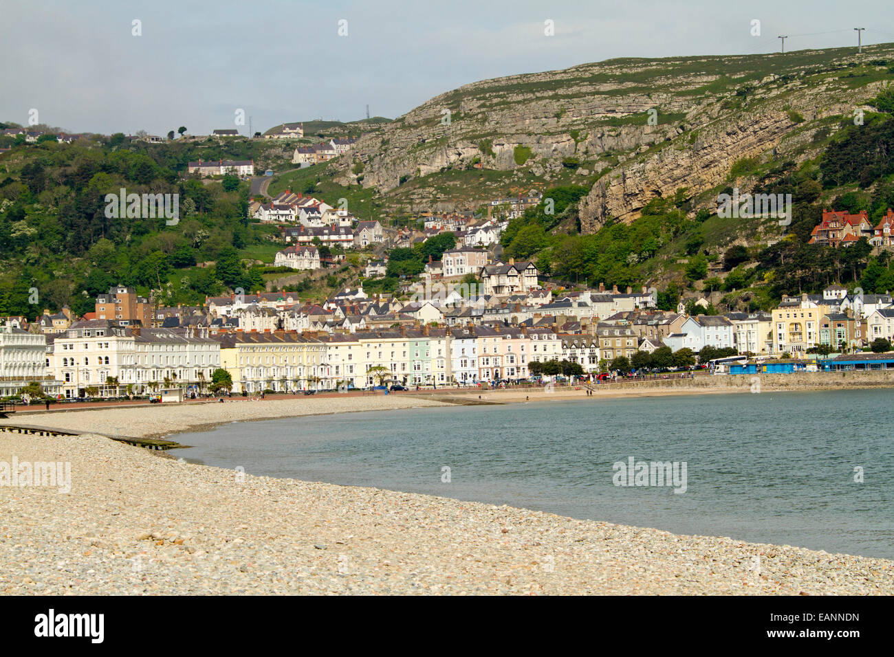 Hotels & other buildings by the beach & at foot of large hill - Great Orme - at popular holiday resort town of Llandudno, Wales Stock Photo