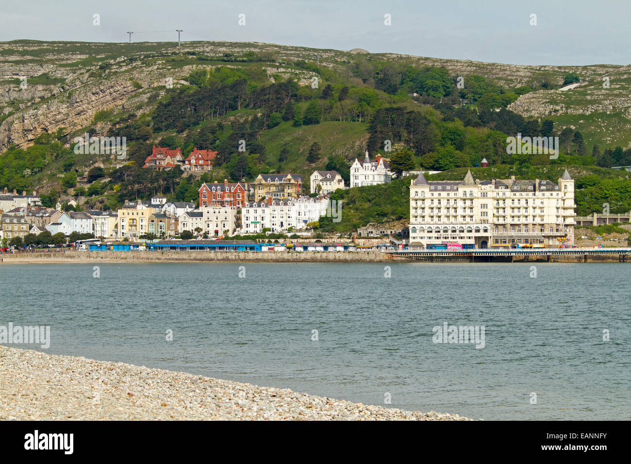 Hotels & other buildings by the beach & at foot of large hill - Great Orme - at popular holiday resort town of Llandudno, Wales Stock Photo