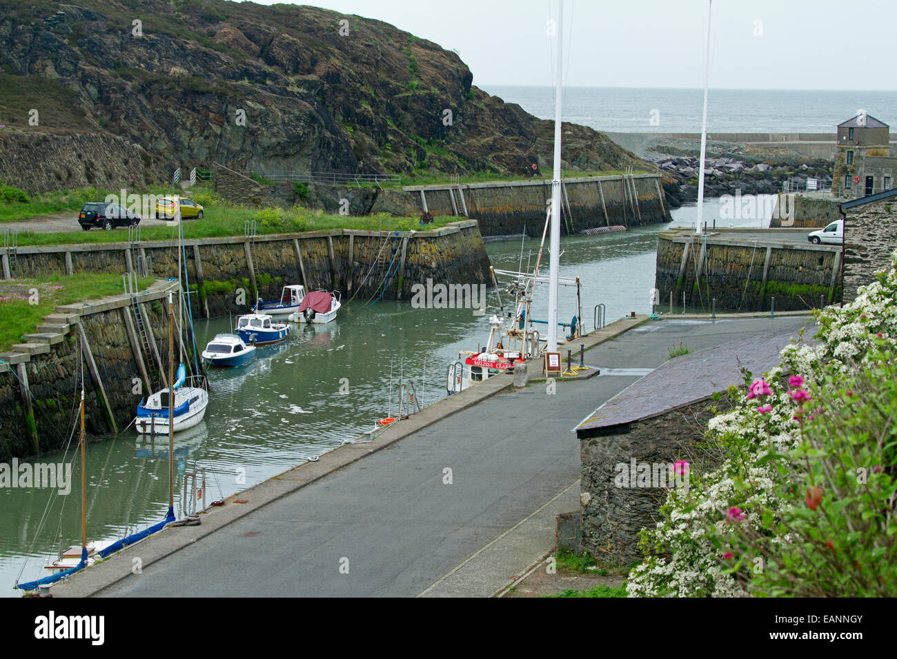 Small and sheltered historic harbour at Porth Amlwch with colourful wildflowers on grassy hillside & boats on calm water Stock Photo