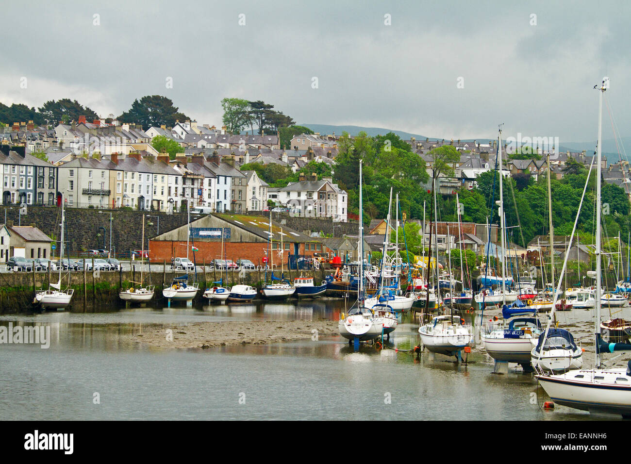 Boats moored at low tide in harbour at Caernarfon, Wales, with houses and trees on nearby hillside Stock Photo