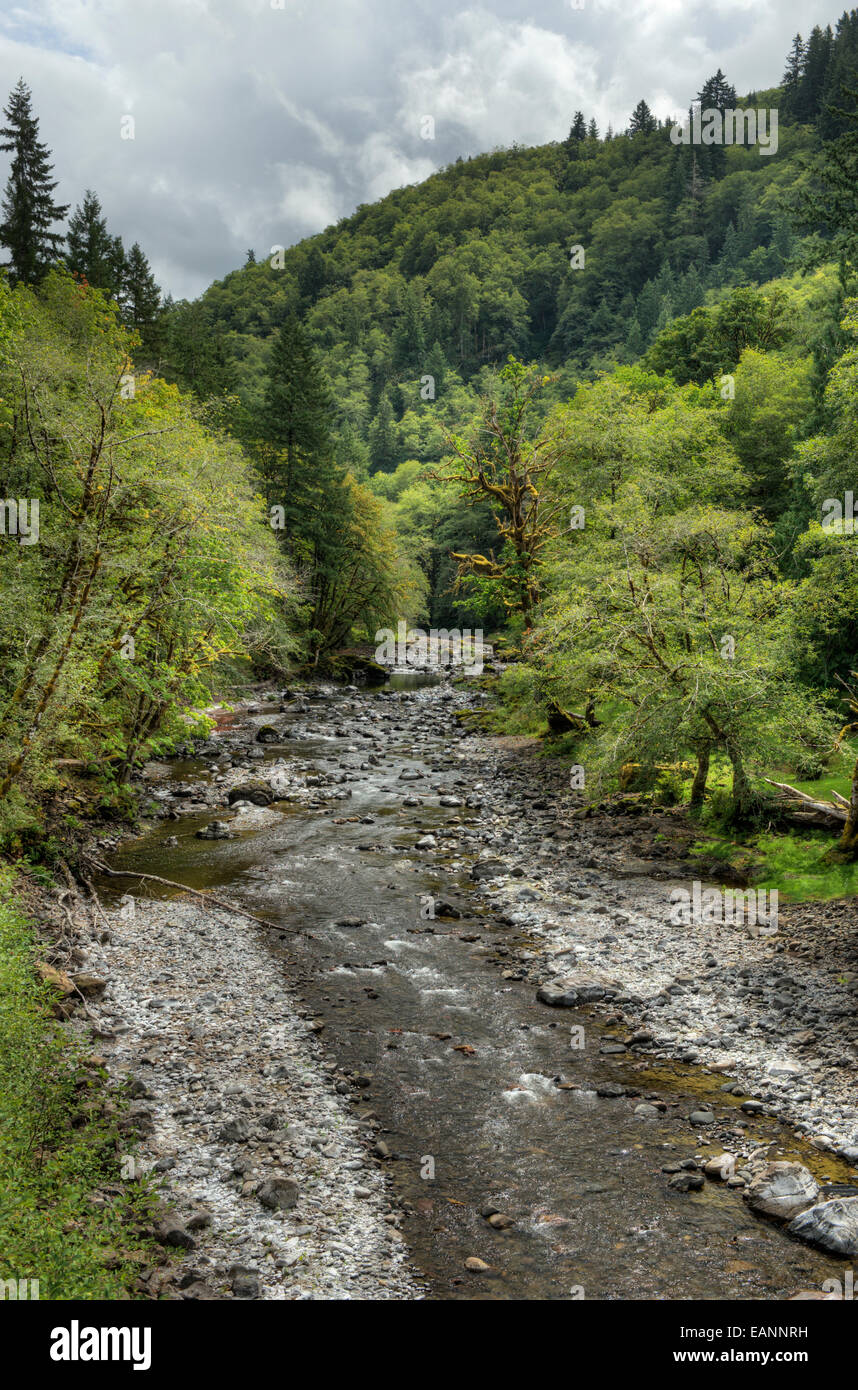 At the mouth of Oregon's Salmonberry River, Coast Range Stock Photo Alamy