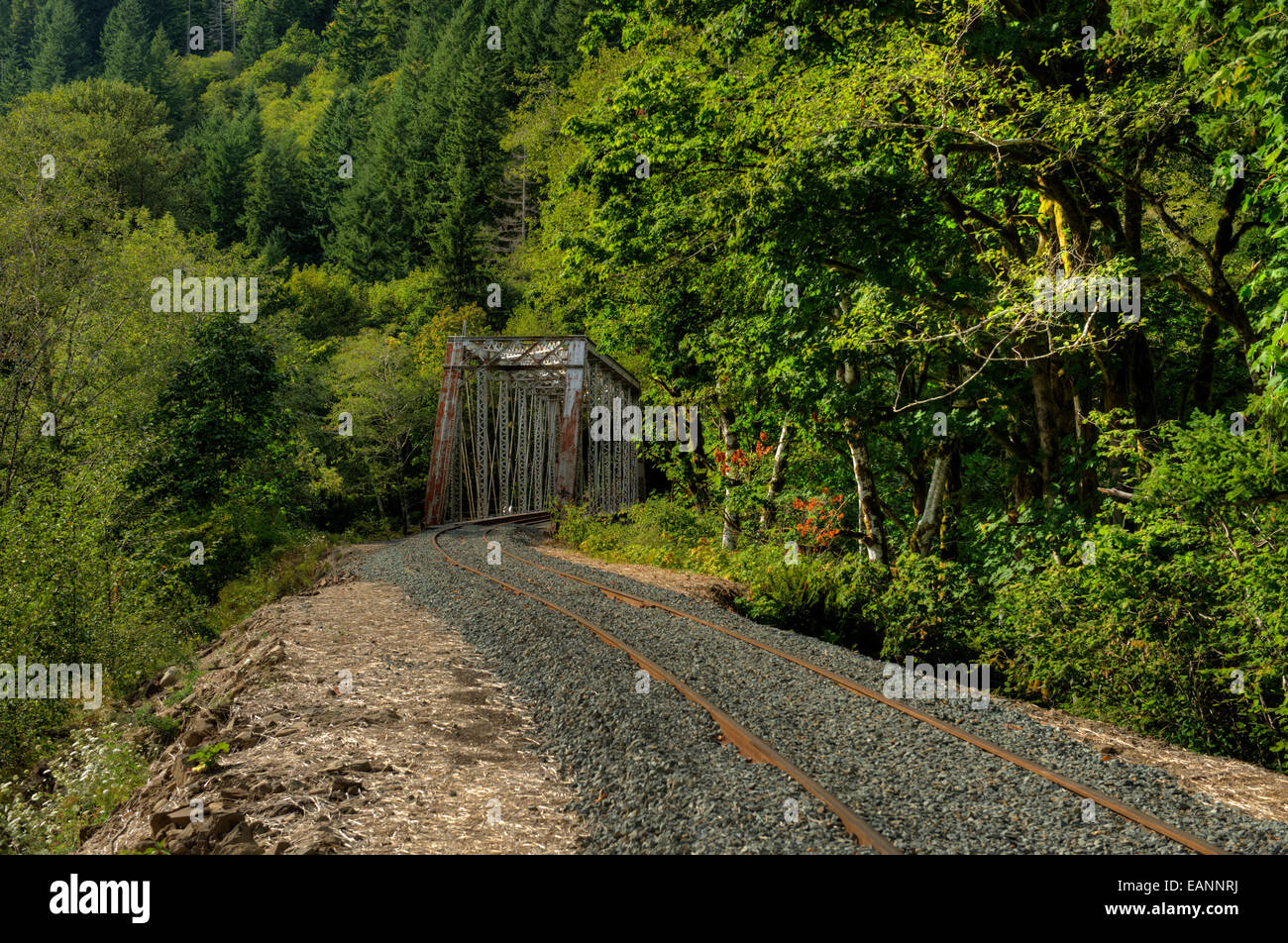 The old Port Of Tillamook Bay Railroad bridge over the Nehalem River at Salmonberry Stock Photo
