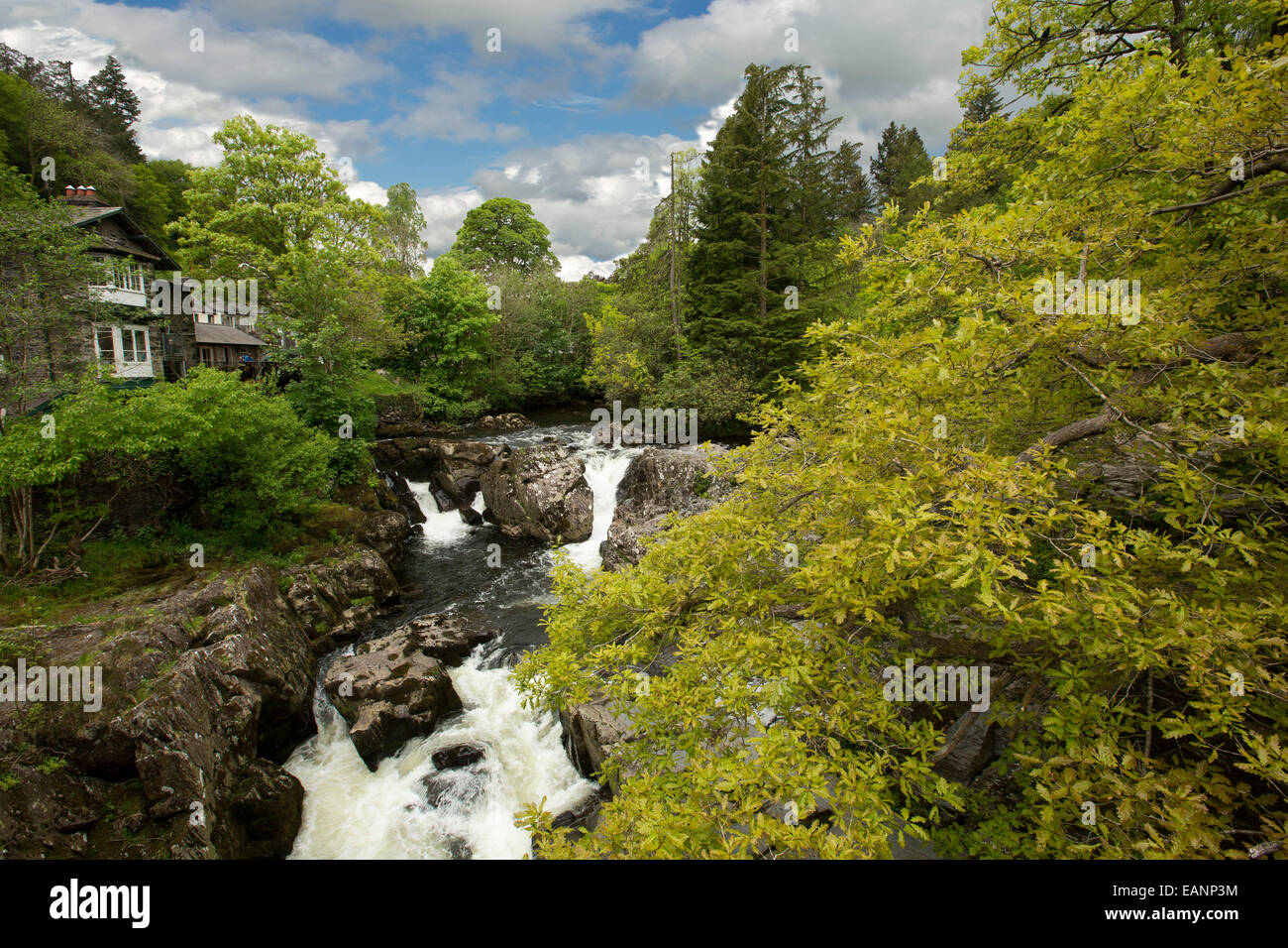 Water of River Llugwy tumbling over rocks & through woodlands at village of Betws-y-Coed in Snowdonia National Park, Wales Stock Photo