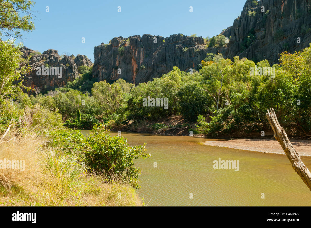 Windjana Gorge, the Kimberley, WA, Australia Stock Photo