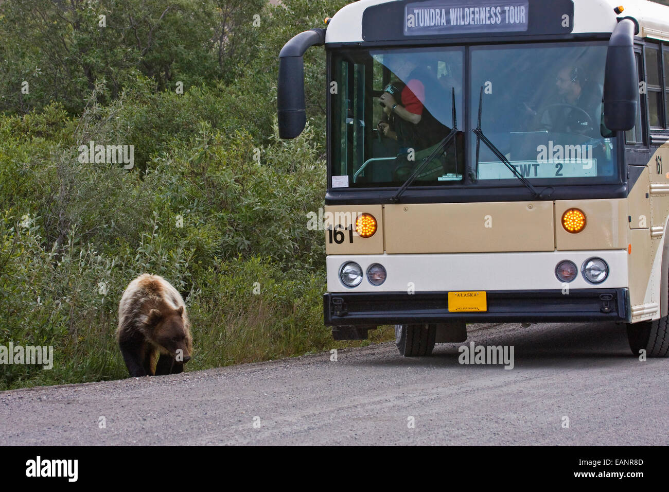 Tundra Tour Bus High Resolution Stock Photography and Images - Alamy