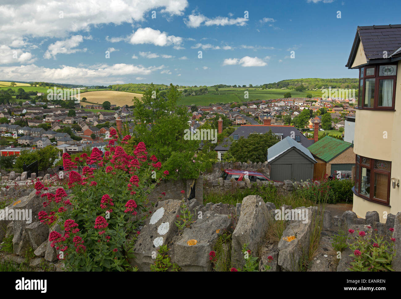 View, from hilltop, of historic Welsh town of Denbigh with wildflowers & emerald farmlands stretching to low hills & horizon Stock Photo