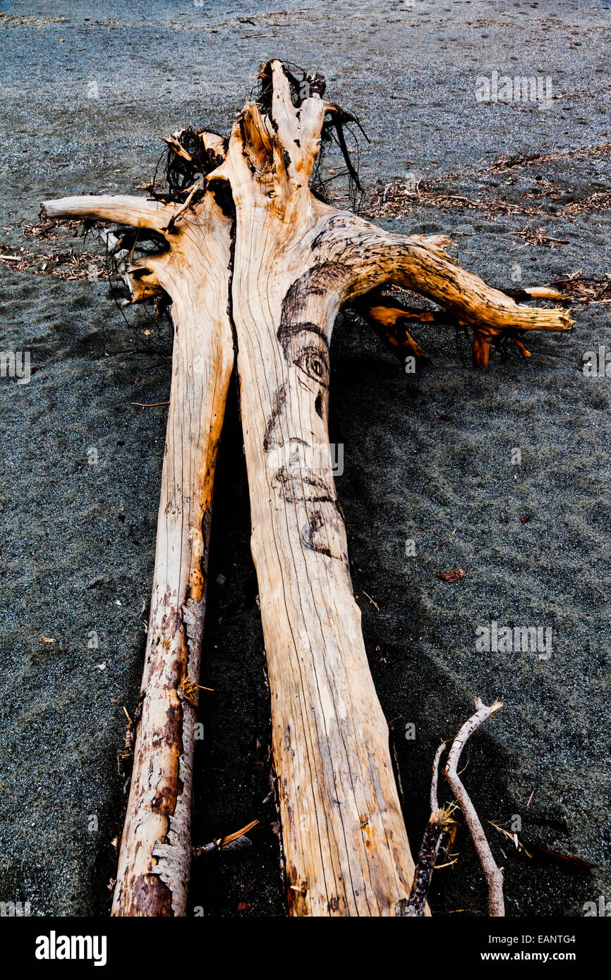Driftwood on a California beach, USA Stock Photo Alamy