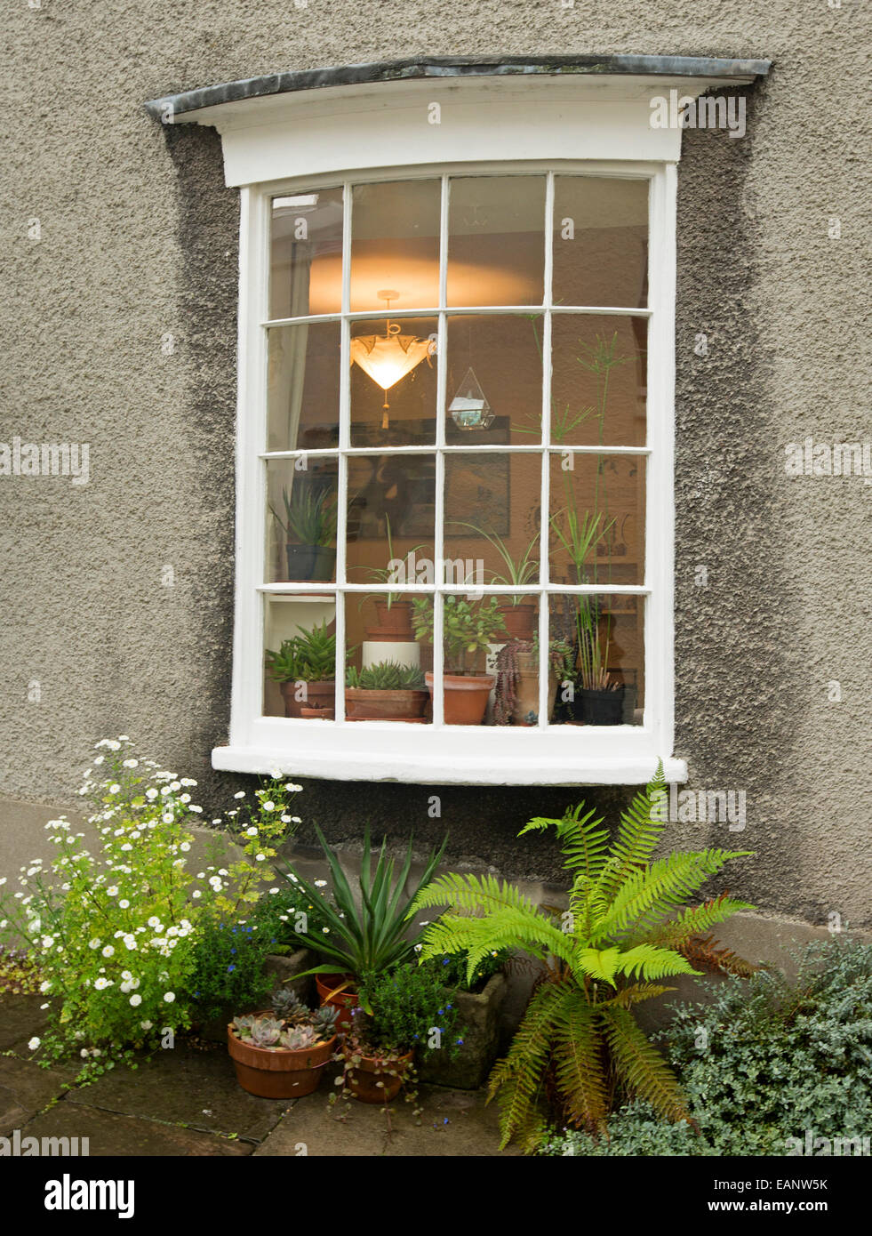 Window White Painted Frame In Stone Wall Of Cottage Group Of Pot