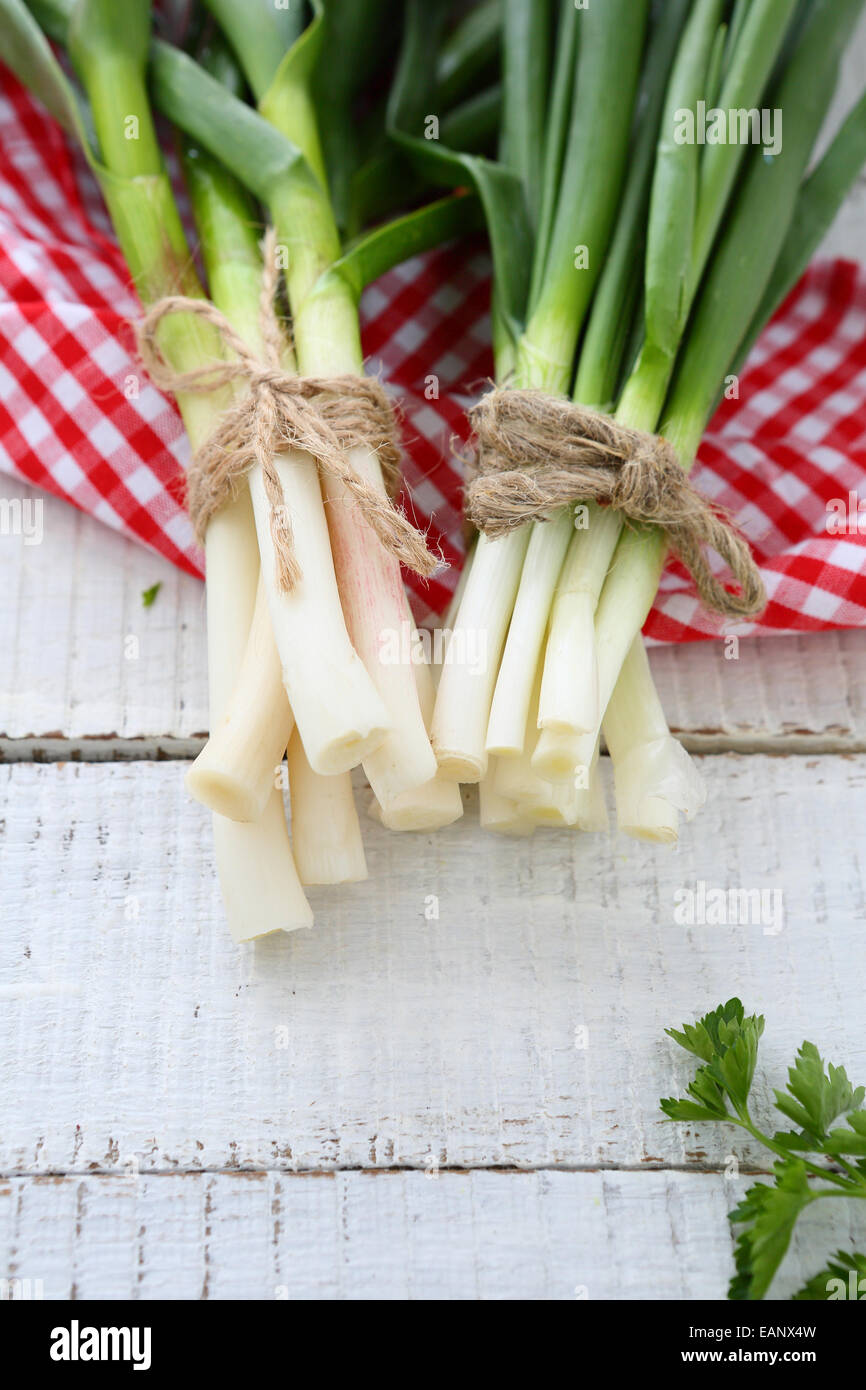 Onions, garlic on a napkin, vegetarian food Stock Photo