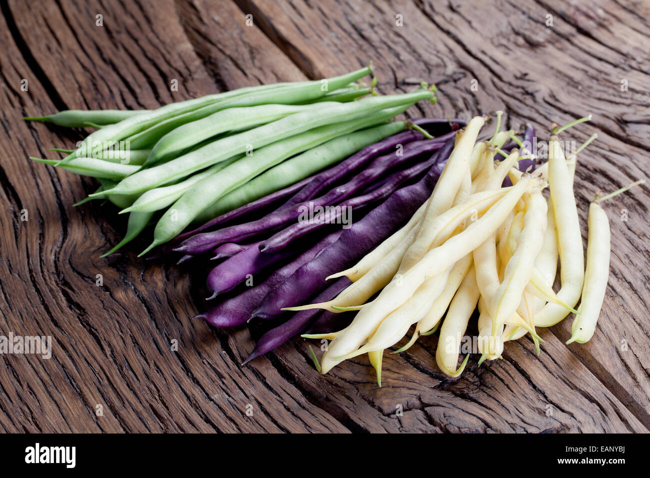 Green french beans plant hi-res stock photography and images - Alamy
