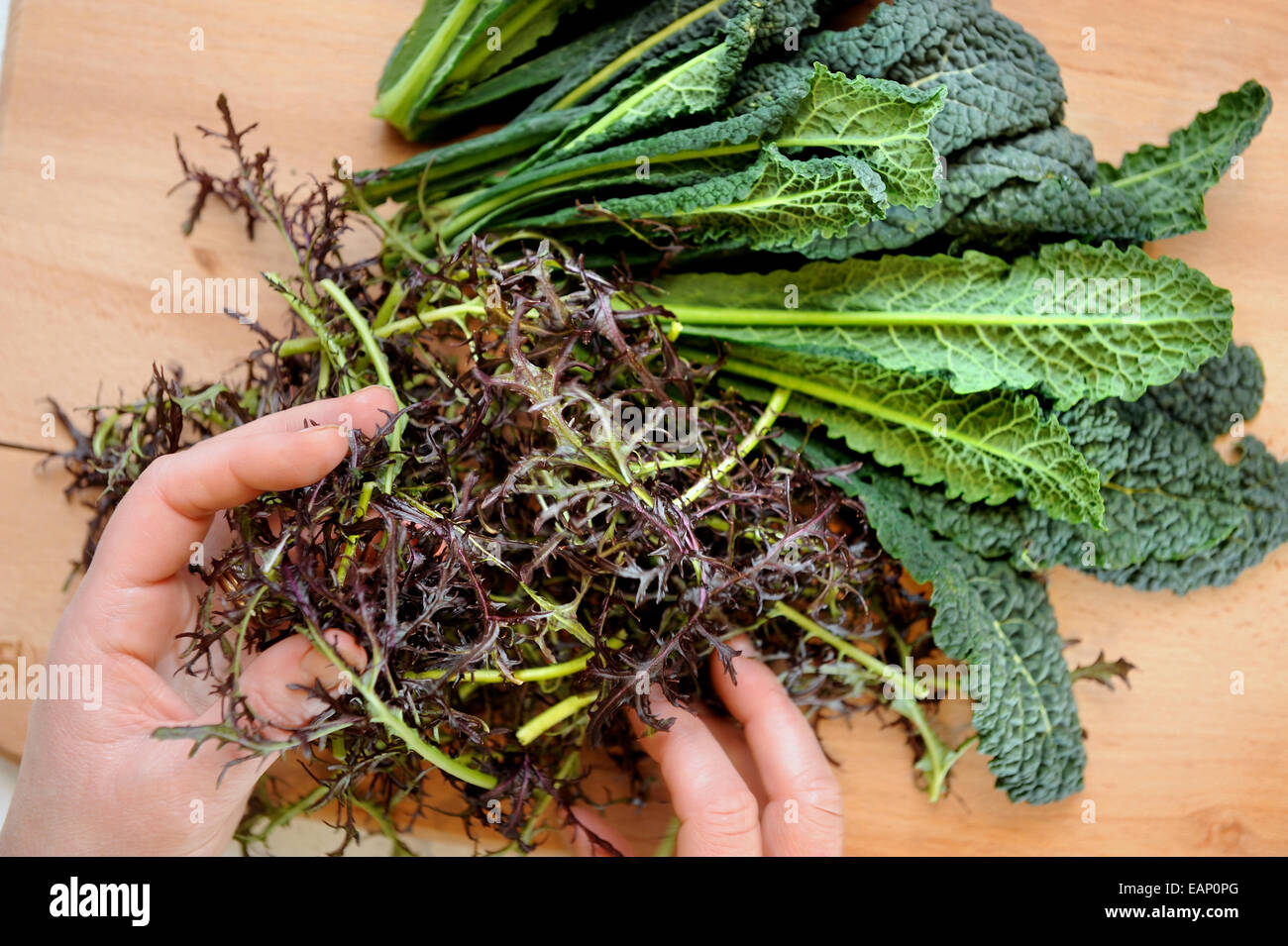Italian Black Cabbage or Kale with Red Frill Mustard Greens (below) Stock Photo