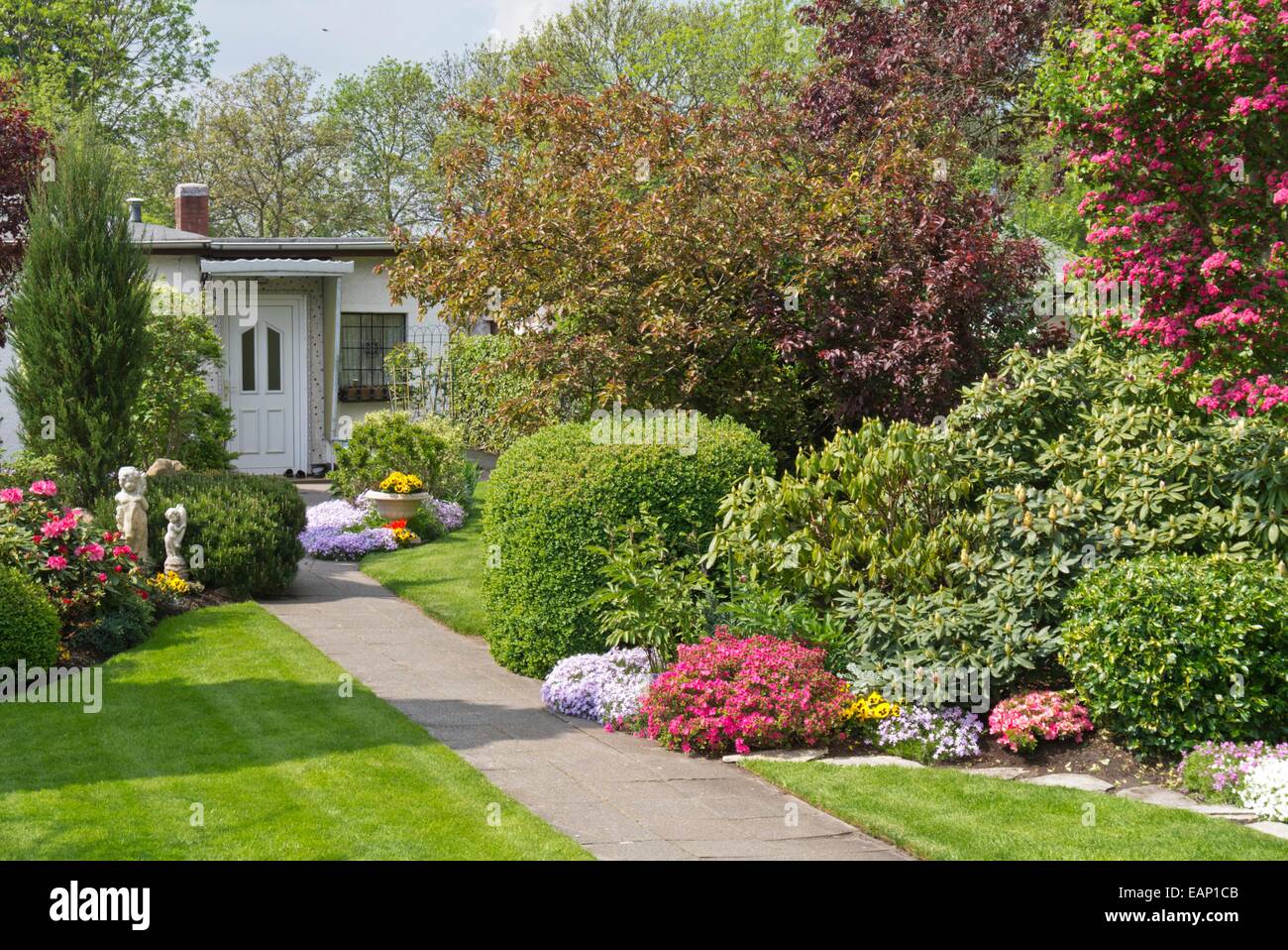 Front garden with rhododendrons (Rhododendron) Stock Photo