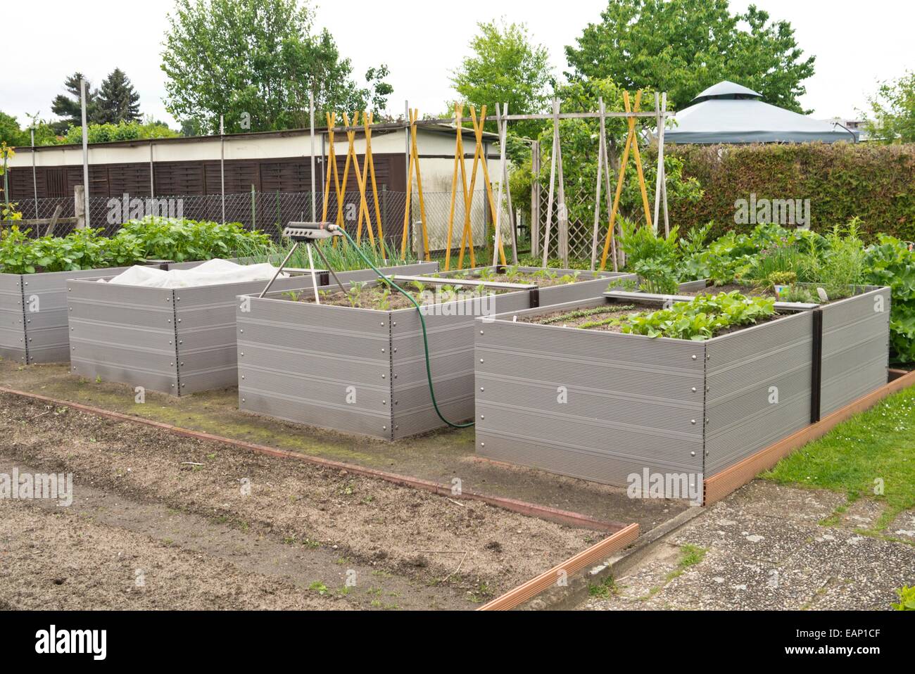 Raised beds in an allotment garden Stock Photo Alamy