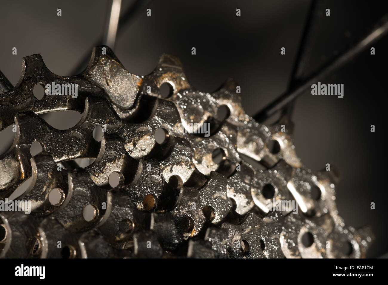 shiny metal bike gears new teeth showing slight hardly any wear and tear Stock Photo