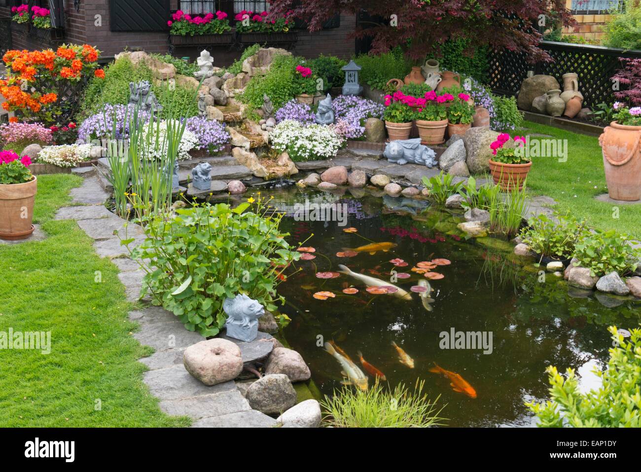 Koi pond with rhododendrons (Rhododendron), garden phlox (Phlox paniculata) and pelargoniums (Pelargonium) Stock Photo