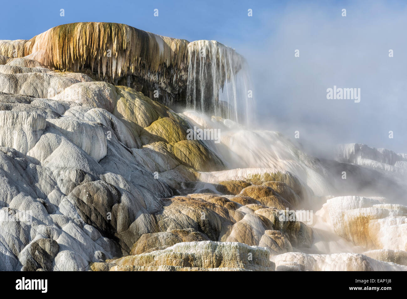 Palette Spring, Mammoth hot springs, Yellowstone national park Stock Photo
