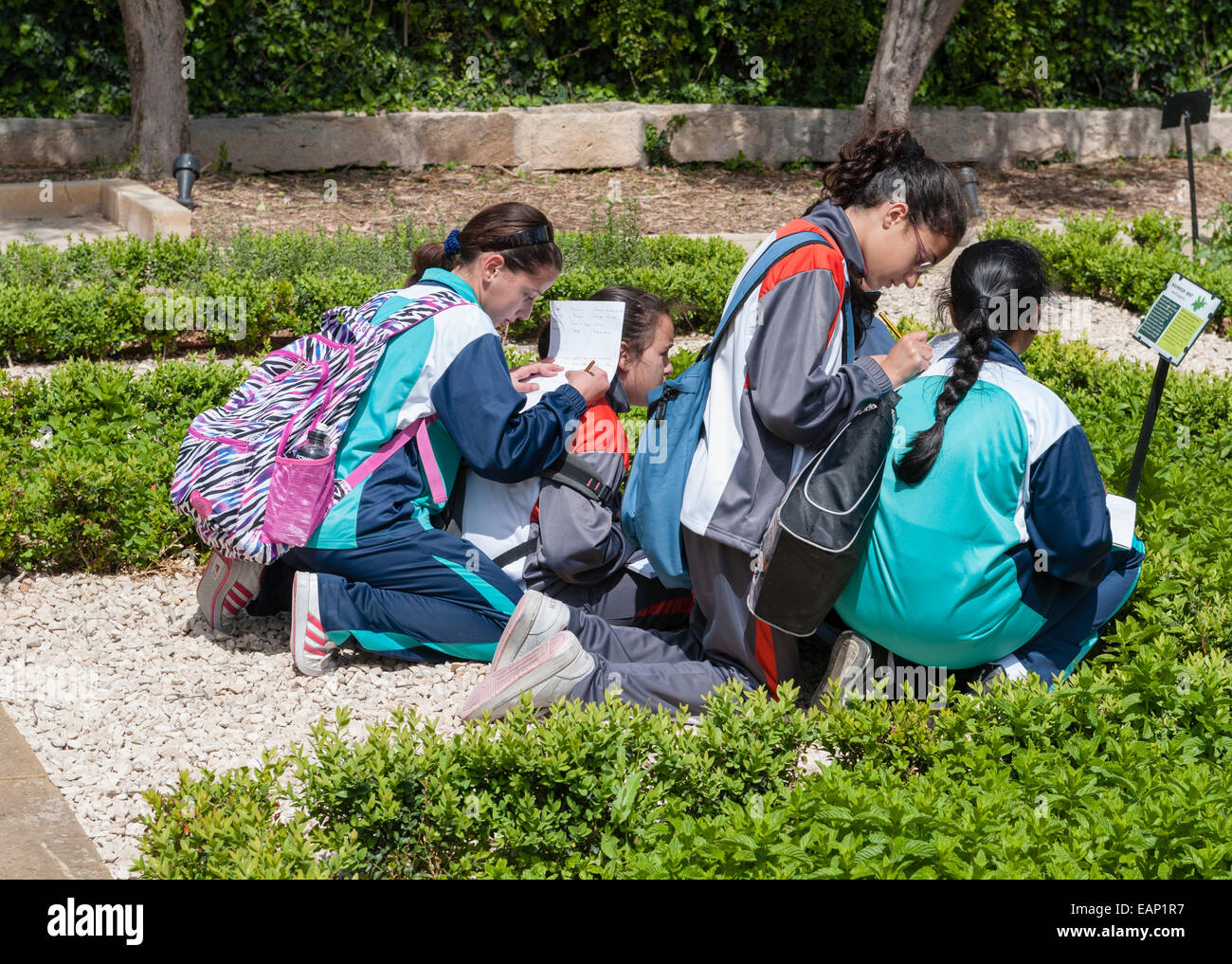 In the President's Kitchen Garden, Attard, Malta. Schoolchildren on a botany study trip writing