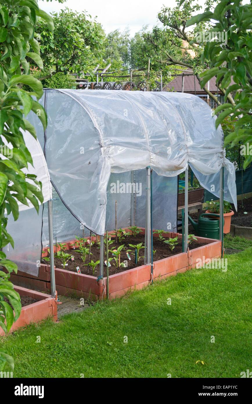 Poly greenhouse Stock Photo