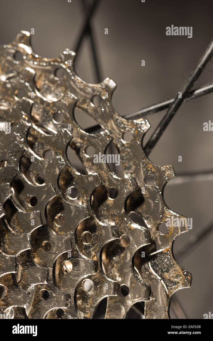 shiny metal bike gears new teeth showing slight hardly any wear and tear Stock Photo