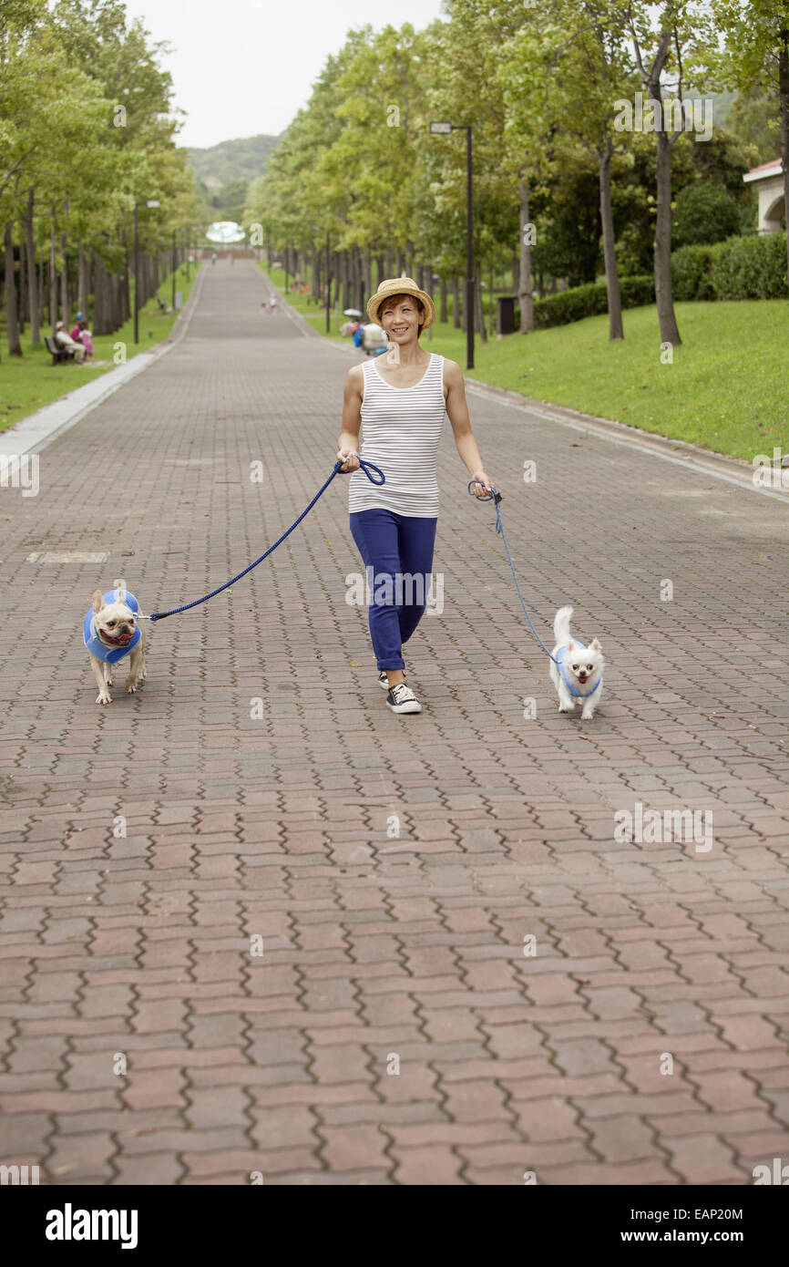 Woman walking two dogs on a paved path. Stock Photo