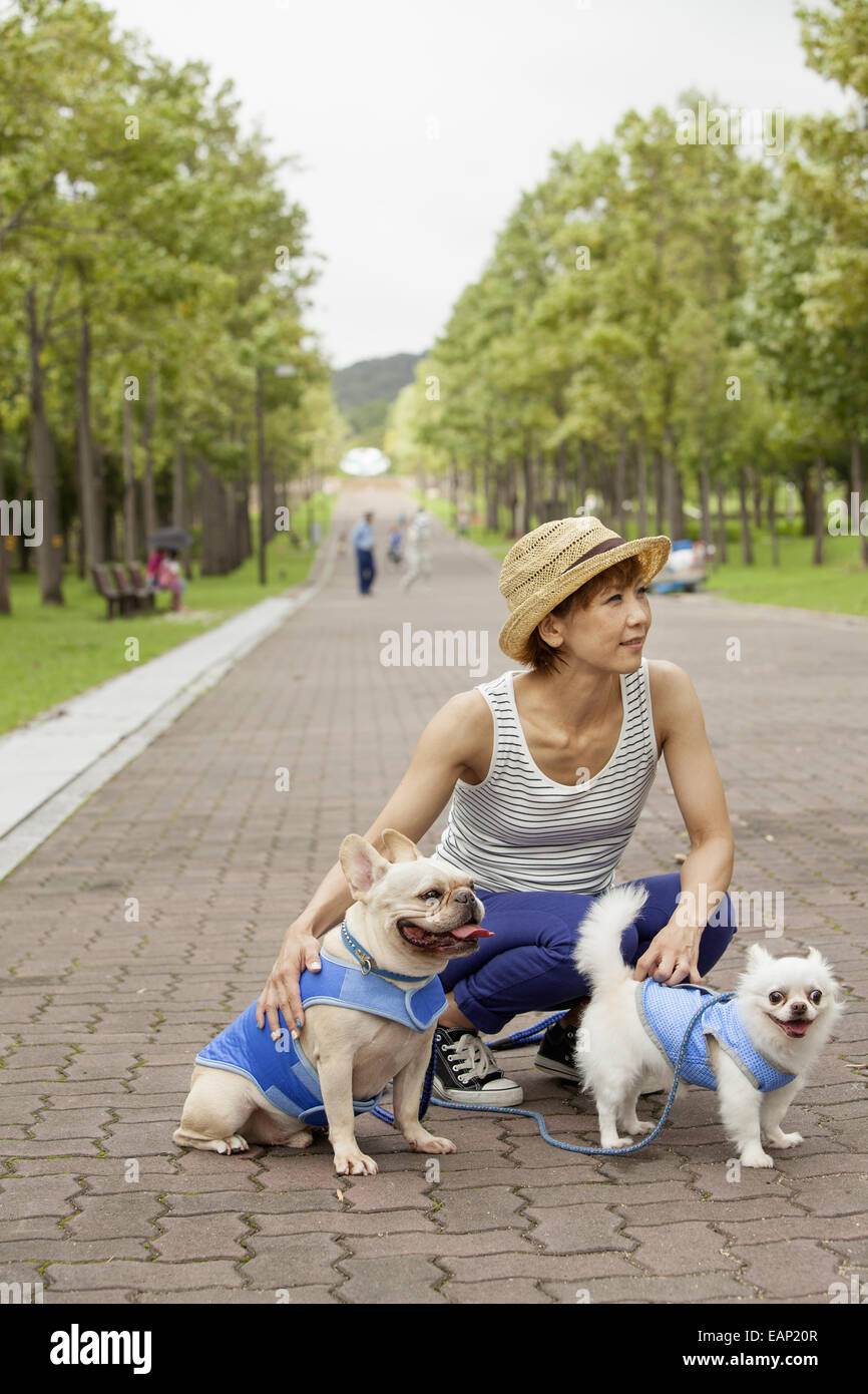 Woman walking two dogs on a paved path. Stock Photo