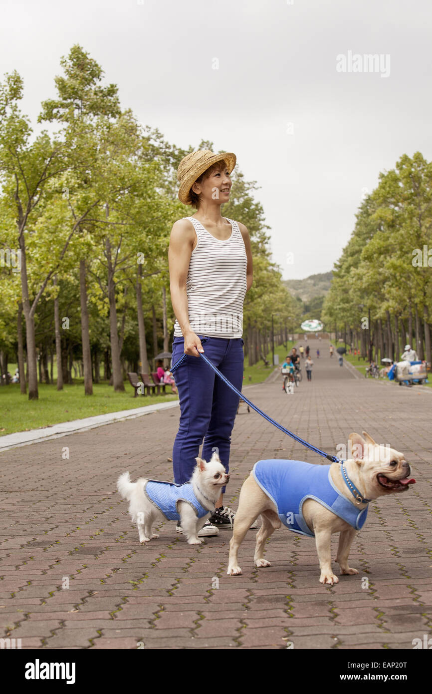 Woman walking two dogs on a paved path. Stock Photo
