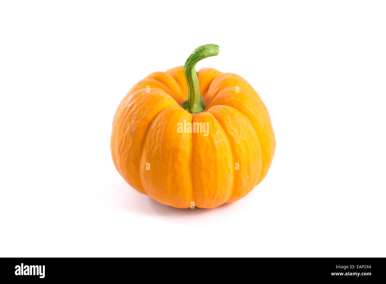 Small decorative orange pumpkin, isolated on white background Stock Photo