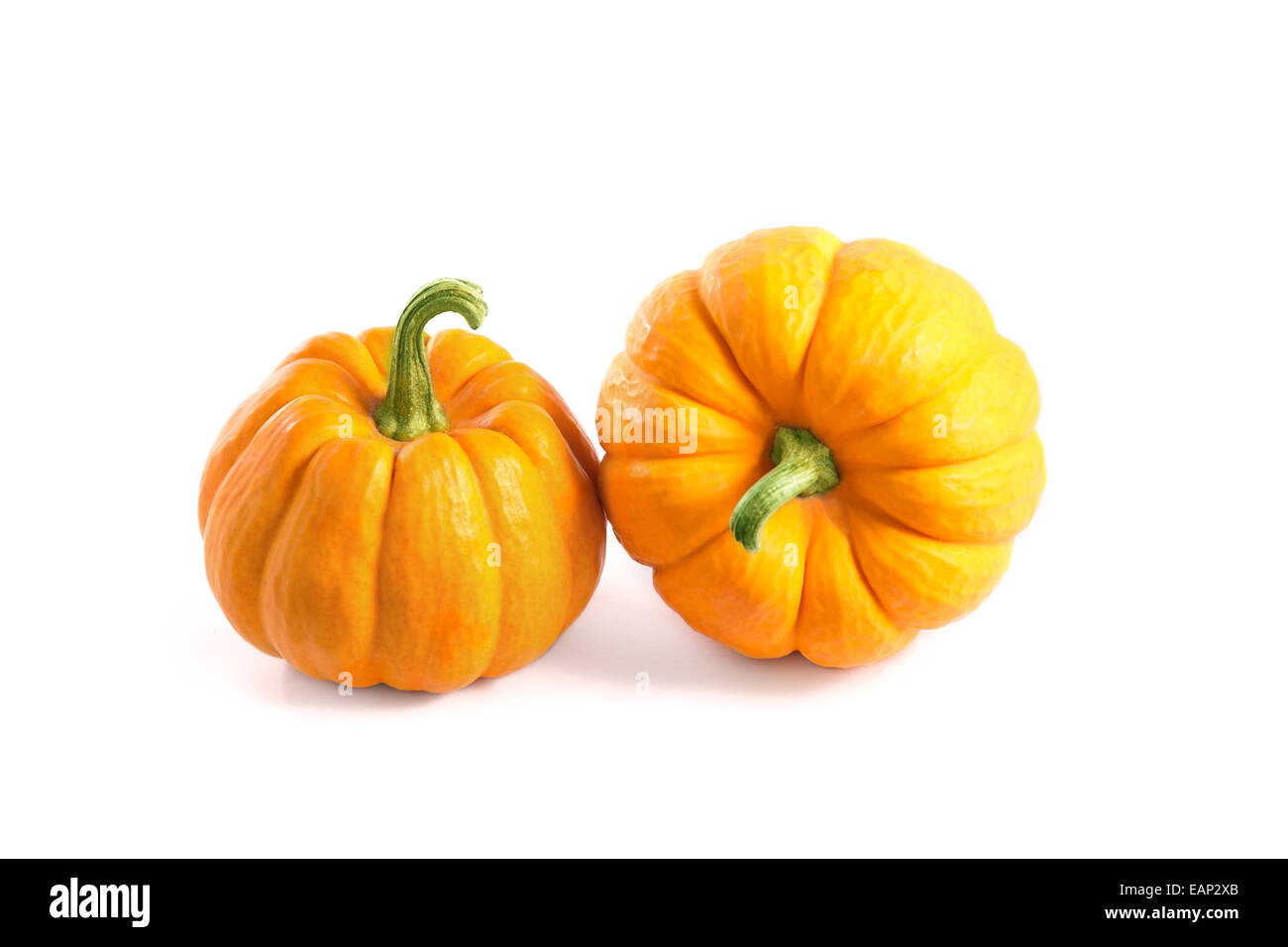 Two small decorative pumpkins, isolated on white background Stock Photo