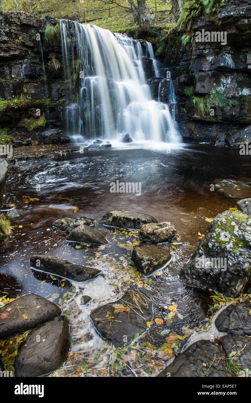 East Gill Force near Keld, Upper Swaledale, Yorkshire Dales National Park Stock Photo