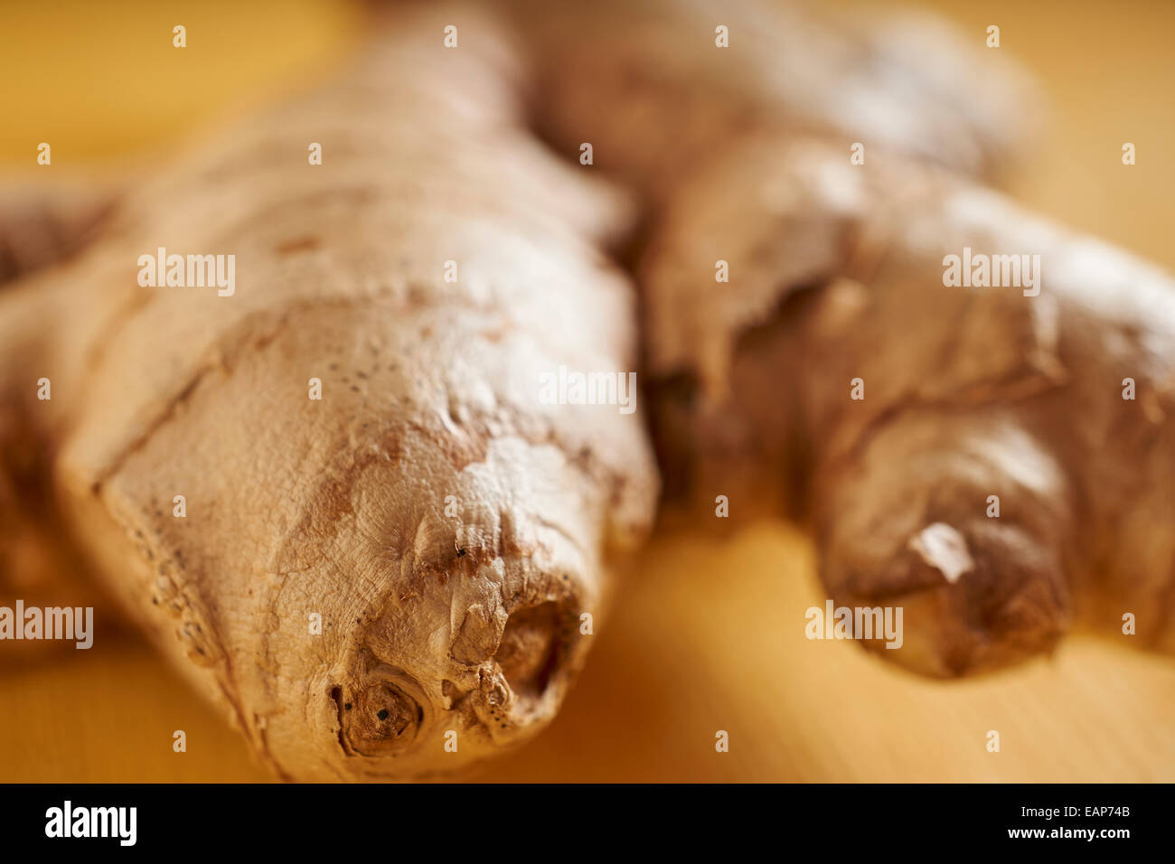 fresh, whole ginger root Stock Photo