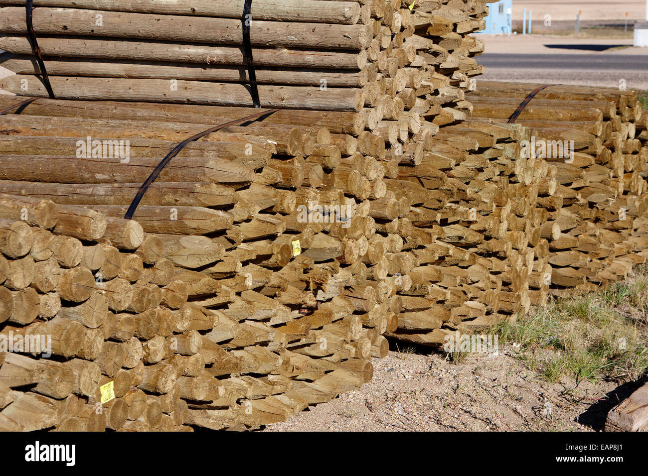 piles of wooden fencing poles at a mill Saskatchewan Canada Stock Photo