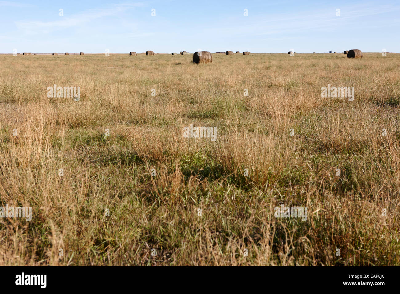 rural prairie grassland open fields bengough Saskatchewan Canada Stock