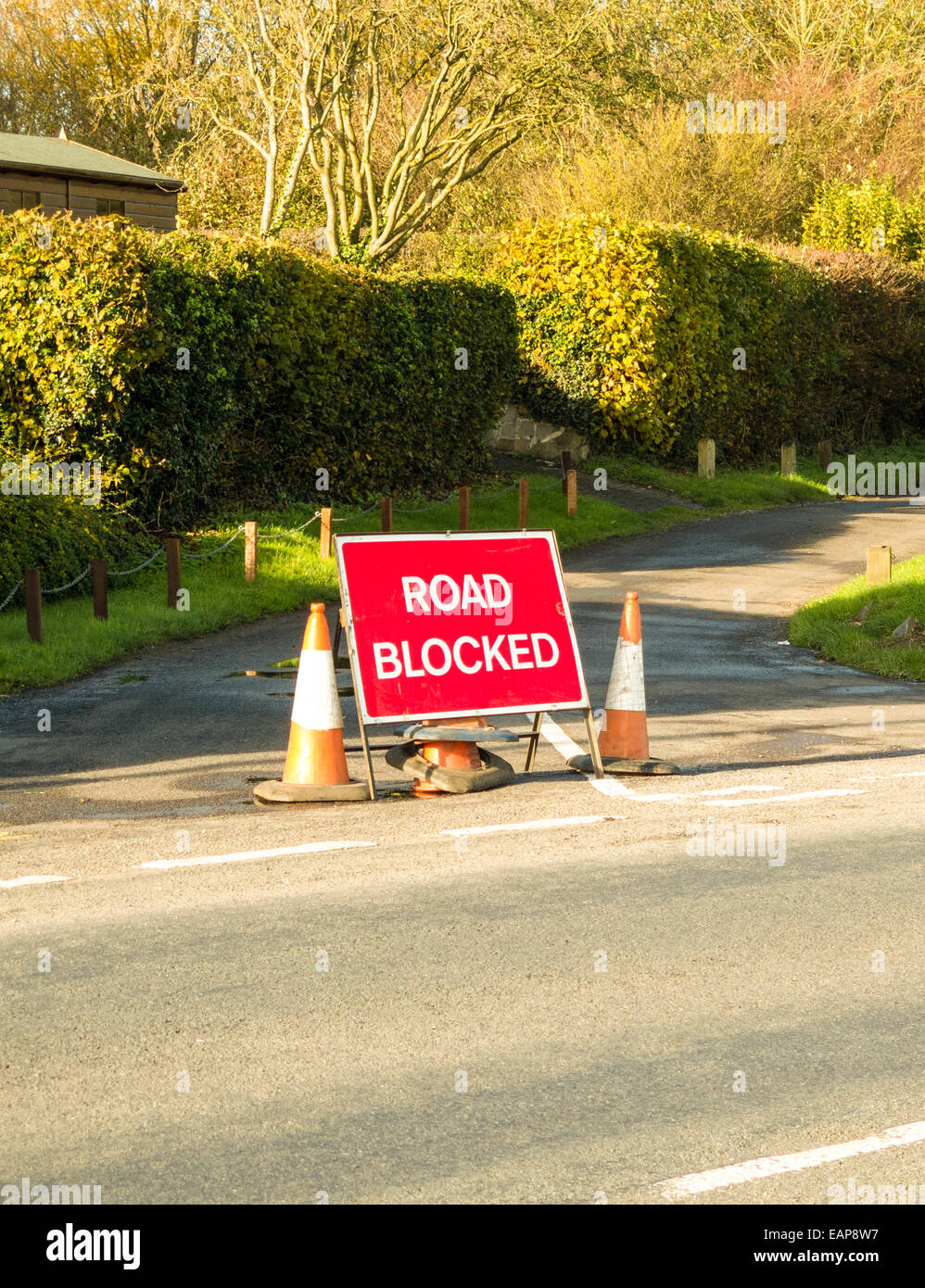 Road Blocked by Sign Stock Photo Alamy