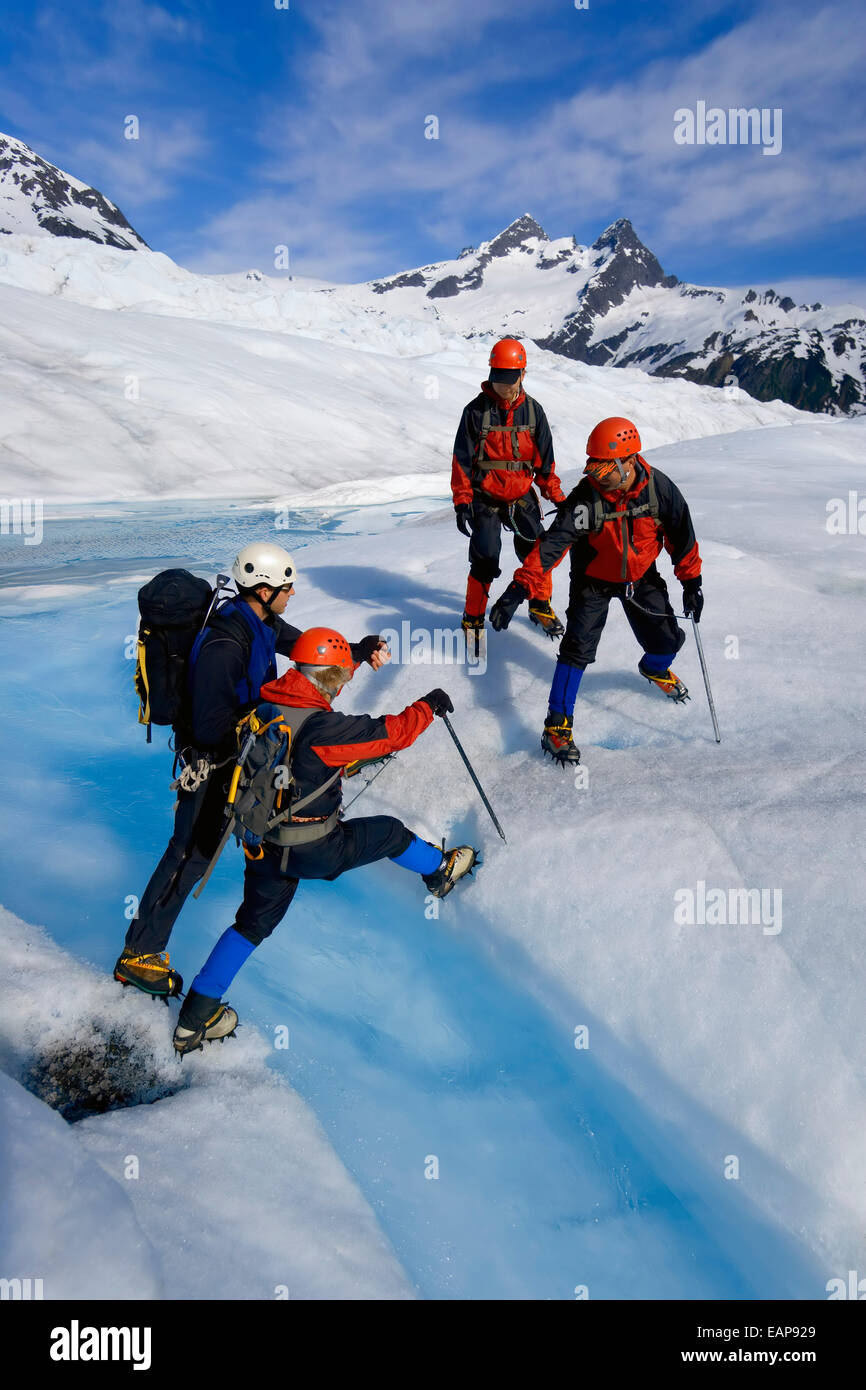 Hikers Trekking In Ice Gear Atop Mendenhall Glacier Juneau Tongass National Forest Se Alaska