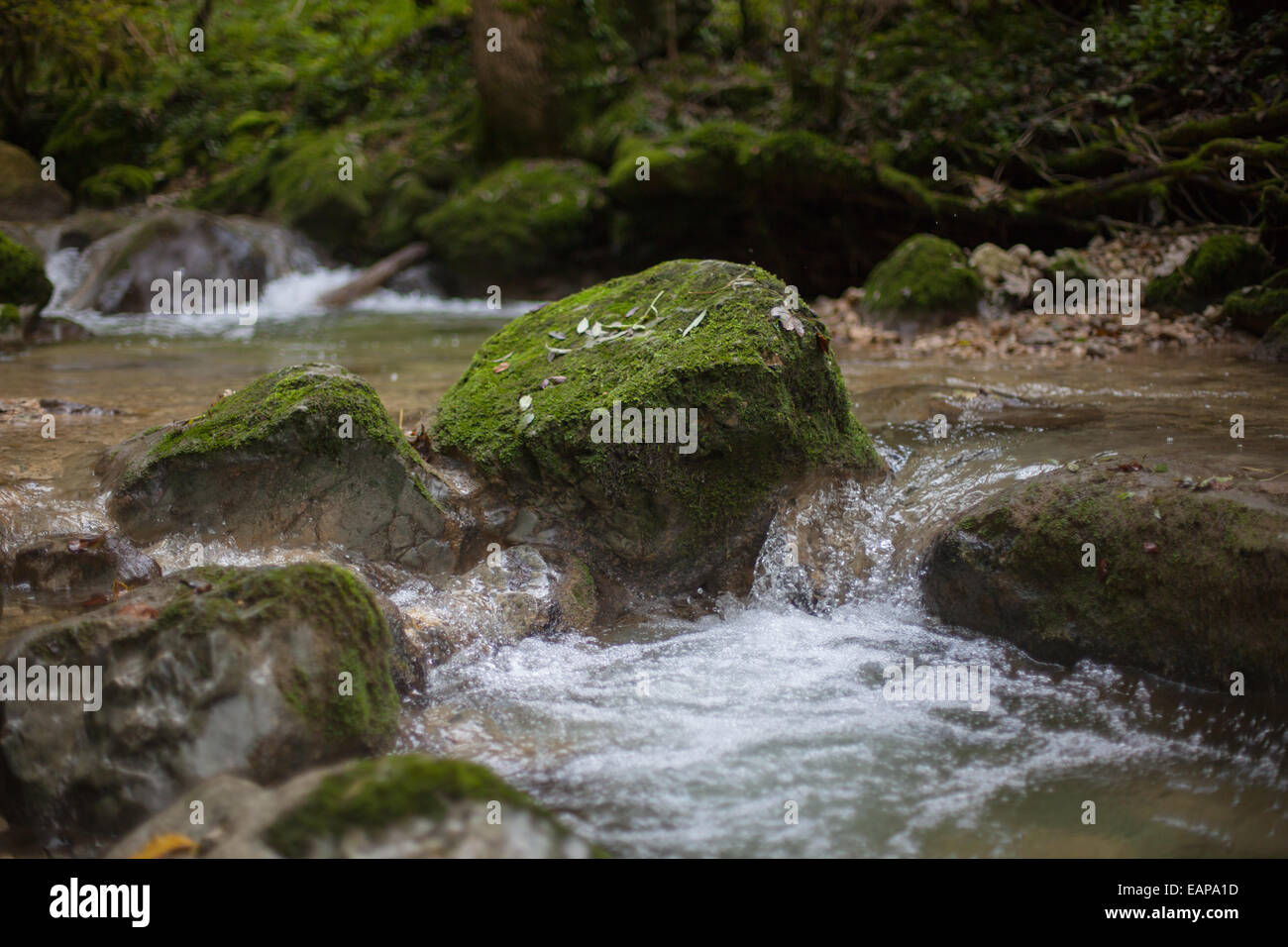 Moss overgrown stone in the stream Stock Photo