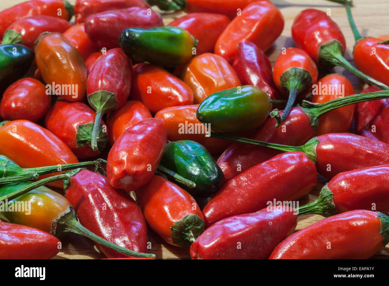 A lot of fresh red hot peperoncinos Stock Photo