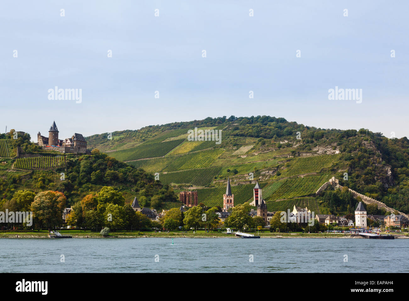 View across Rhine River to Burg Stahleck Castle, Wernerkapelle and vineyards on hillside above Bacharach am Rhein, Germany Stock Photo