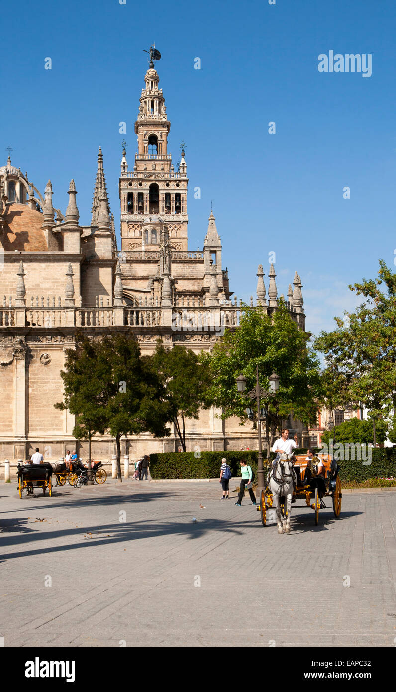 Horse and carriage rides for tourists in the historic central area near the cathedral, Seville, Spain Stock Photo
